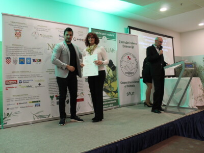 Šampioni otvorenih ulja - Noćnjak 2023