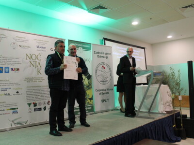 Šampioni otvorenih ulja - Noćnjak 2023