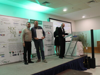 Šampioni otvorenih ulja - Noćnjak 2023