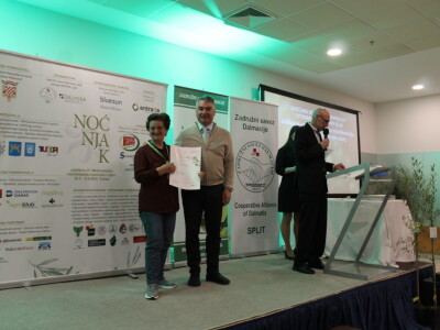 Šampioni otvorenih ulja - Noćnjak 2023