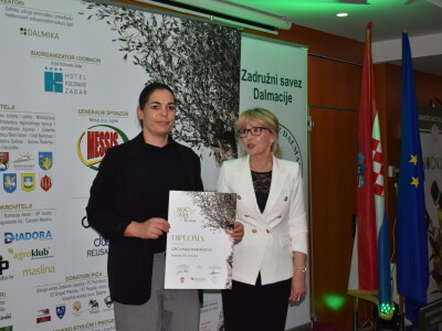 Šampioni otvorenih ulja - Noćnjak 2024.