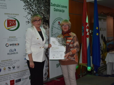 Šampioni otvorenih ulja - Noćnjak 2024.