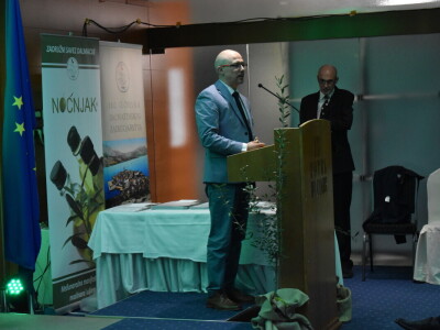 Šampioni otvorenih ulja - Noćnjak 2024.