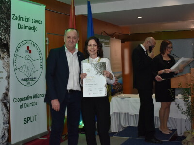 Šampioni otvorenih ulja - Noćnjak 2024.