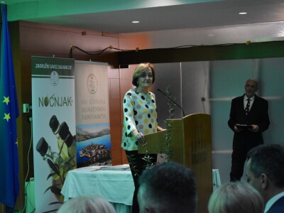 Šampioni otvorenih ulja - Noćnjak 2024.