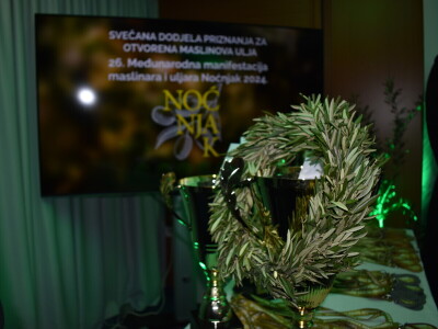 Šampioni otvorenih ulja - Noćnjak 2024.