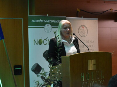 Šampioni otvorenih ulja - Noćnjak 2024.