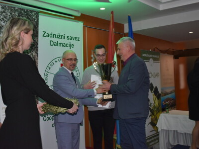 Šampioni otvorenih ulja - Noćnjak 2024.