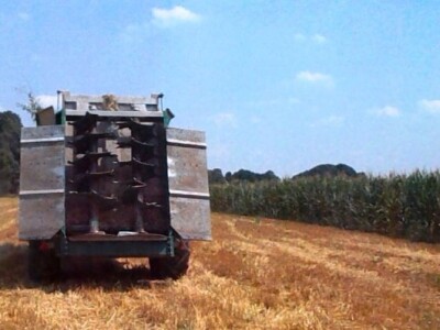 Karbokalk u Punitovcima