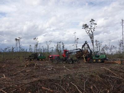 Sanacija Spačvanskog bazena