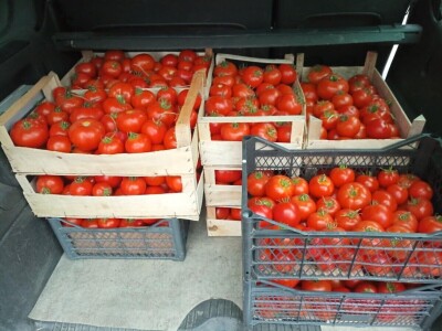 Sanel Šuša - Zenica