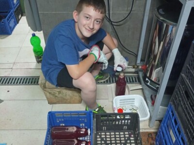 Sanel Šuša - Zenica