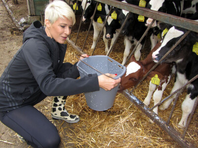 Farma Sanje Bugarski u Kuli