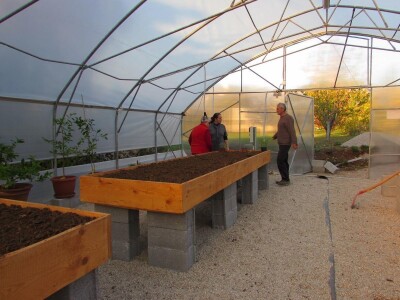 Sanja Đermanović: Uz permakulturu do postizanja sklada i mira Sanja Đermanović: Uz permakulturu do postizanja sklada i mira