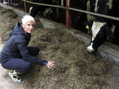 Farma Sanje Bugarski u Kuli