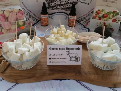 Sanske koze na gazdinstvu porodice Ivanović