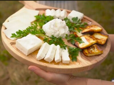 Sanske koze na gazdinstvu porodice Ivanović