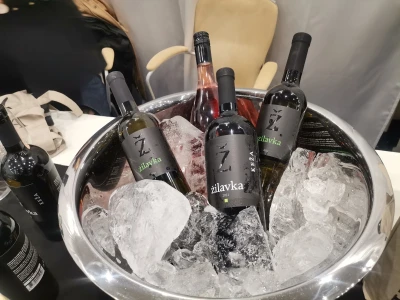 Sarajevo wine fest 2023