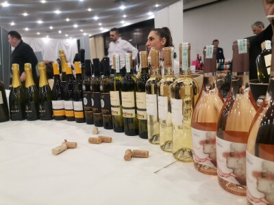 Sarajevo wine fest 2023