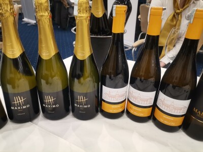 Sarajevo wine fest 2023