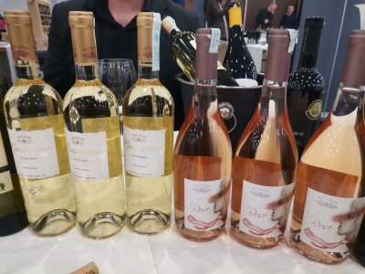 Sarajevo wine fest 2023