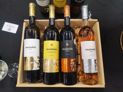 Sarajevo wine fest 2024
