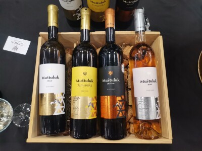 Sarajevo wine fest 2024