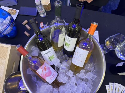 Sarajevo Wine Fest 2025