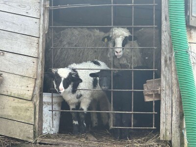 Sarajlija ima šest traktora, u planu je još jedan