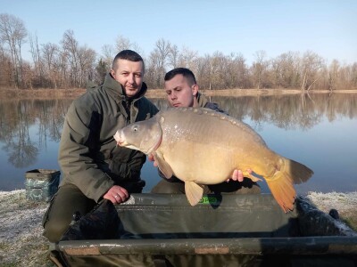 Šaran upecan kod Gradiške Šaran upecan kod Gradiške