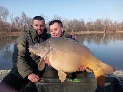 Šaran upecan kod Gradiške Šaran upecan kod Gradiške