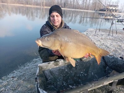 Šaran upecan kod Gradiške Šaran upecan kod Gradiške