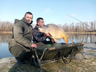 Šaran upecan kod Gradiške Šaran upecan kod Gradiške