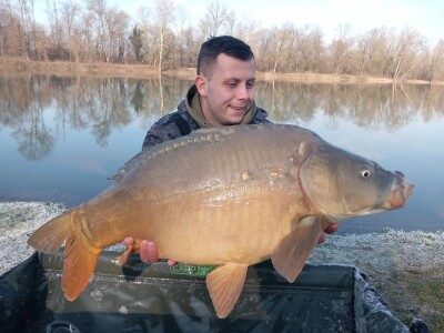 Šaran upecan kod Gradiške Šaran upecan kod Gradiške