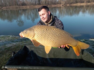 Šaran upecan kod Gradiške Šaran upecan kod Gradiške