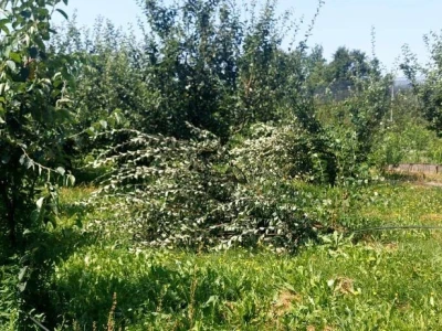 Sastanak voćara