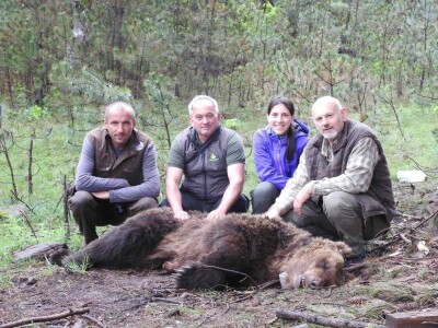 Satelitsko praćenje medveda - Medved Bato Satelitsko praćenje medveda - Medved Bato
