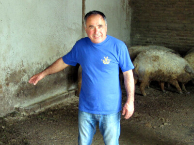 Sava Graorac Sava Graorac