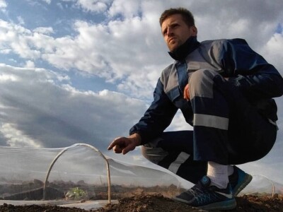 Sava iz Deronja gaji lubenice na površini od 12 hektara