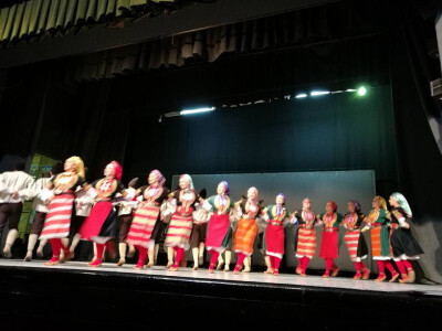 Kulturno umetnički program pred sam početak savetovanja