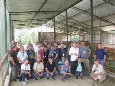 Savjetovanje krava-tele