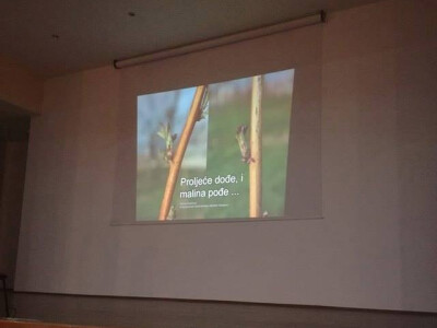 Savjetovanje malinara u Visokom