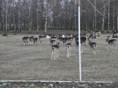 Uzgajalište divljači
