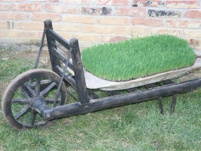 Zanimljiv detalj