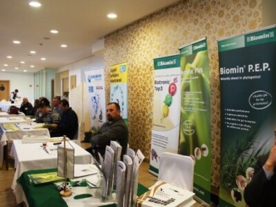 Ponude nije nedostajalo