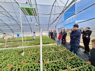 Savremeni plastenik sa automatskim upravljanjem Savremeni plastenik sa automatskim upravljanjem