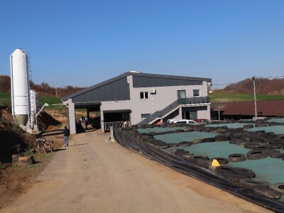 Savremeni robot od sada muze na farmi u kojoj je domaćin u papučama