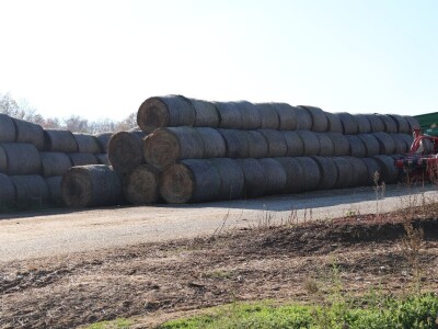 Savremeni robot od sada muze na farmi u kojoj je domaćin u papučama