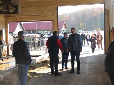 Savremeni robot od sada muze na farmi u kojoj je domaćin u papučama