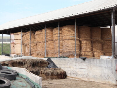 Savremeni sistem hlađenja na farmi "Babić"